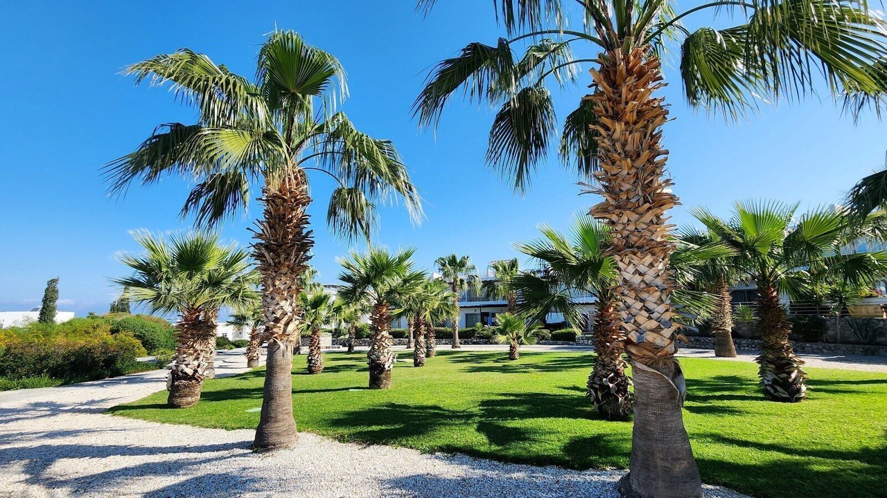 Photo of Outdoor in Bahceli