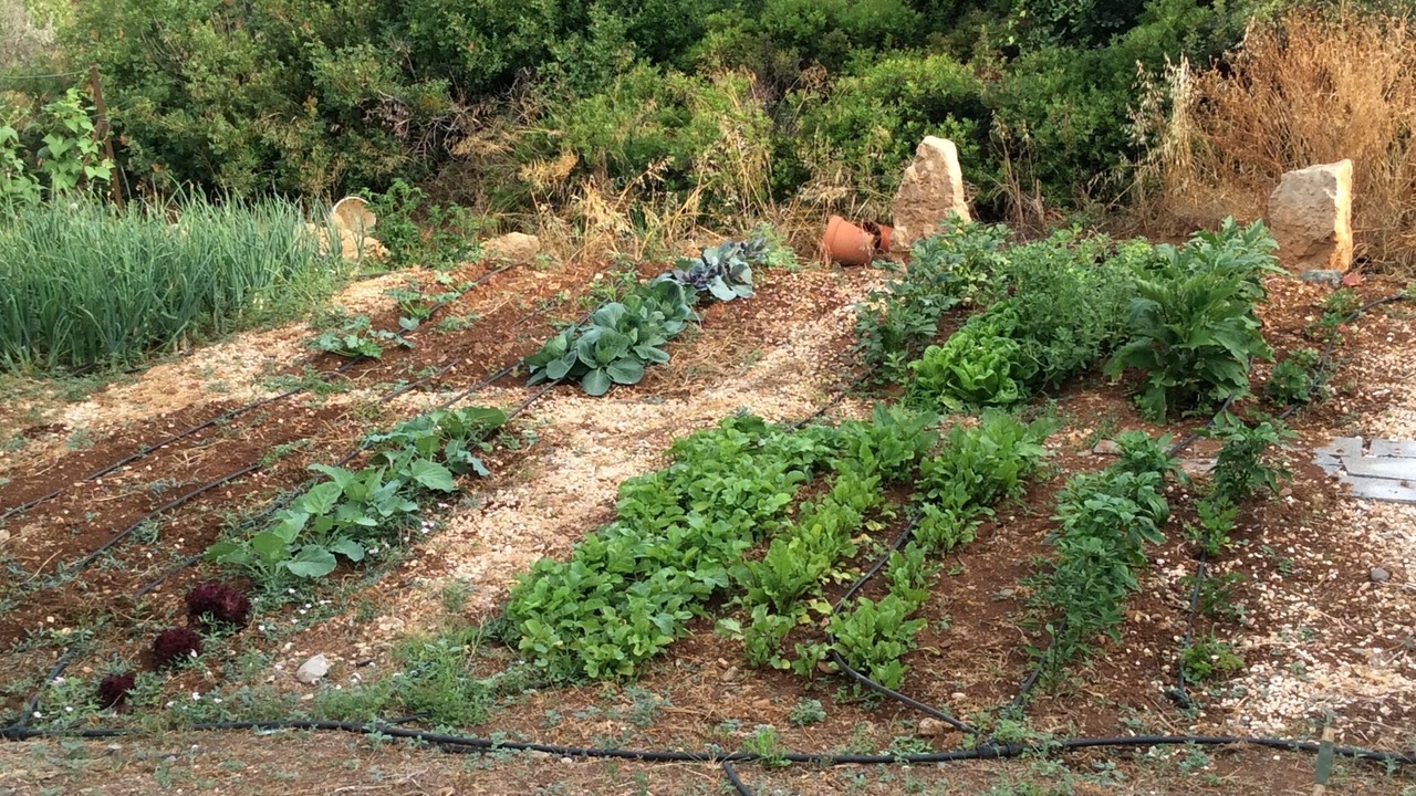 Photo of Outdoor in Tala