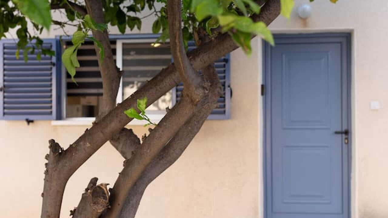 Photo of Outdoor in Paphos