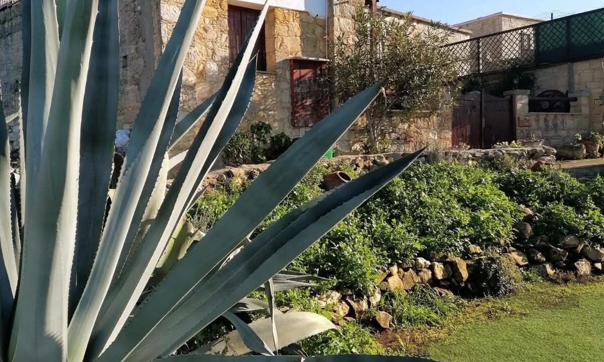 Photo of Outdoor in Lasa