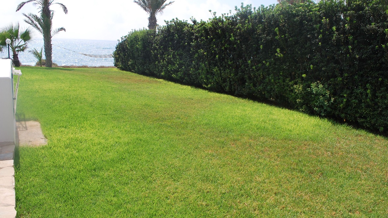 Photo of Outdoor in Kissonerga