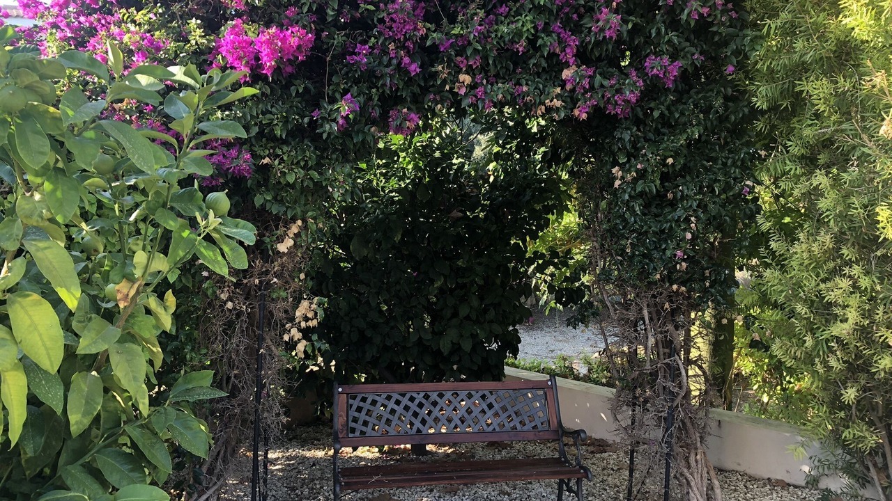 Photo of Outdoor in Kouklia