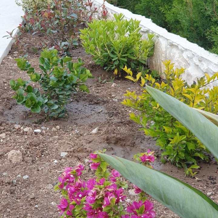 Photo of Outdoor in Geroskipou