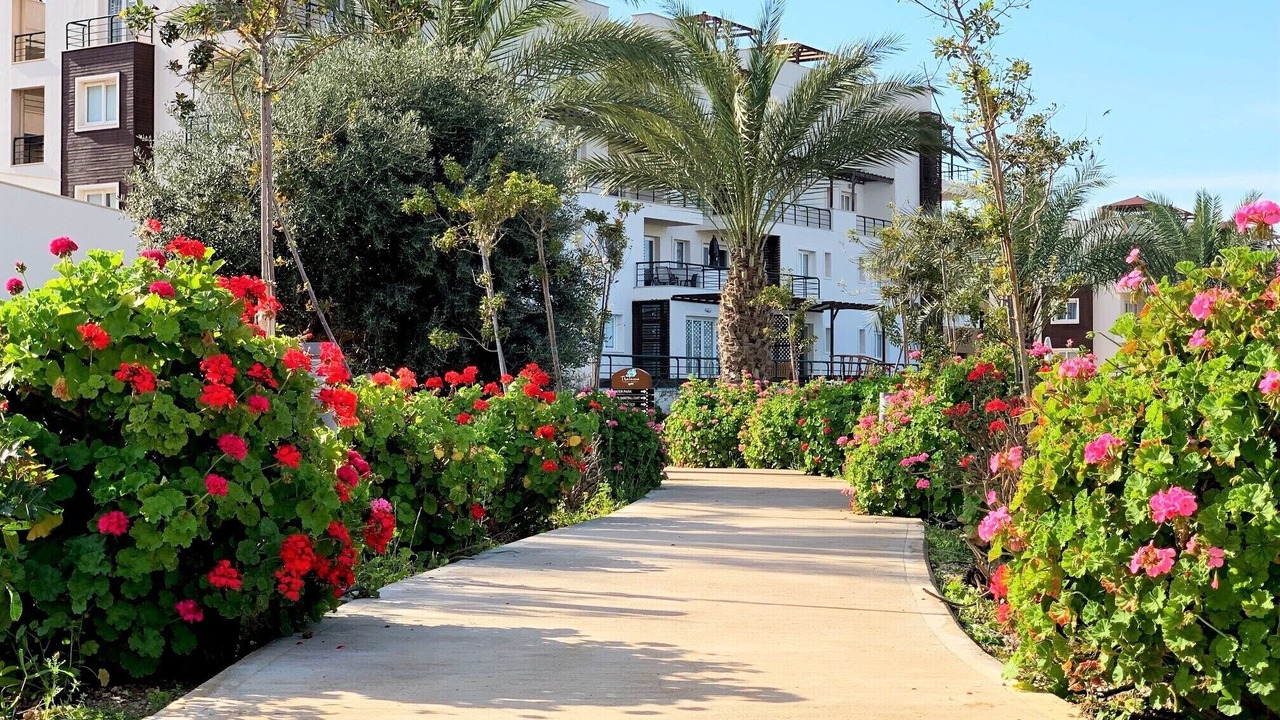 Photo of Outdoor in Bafra