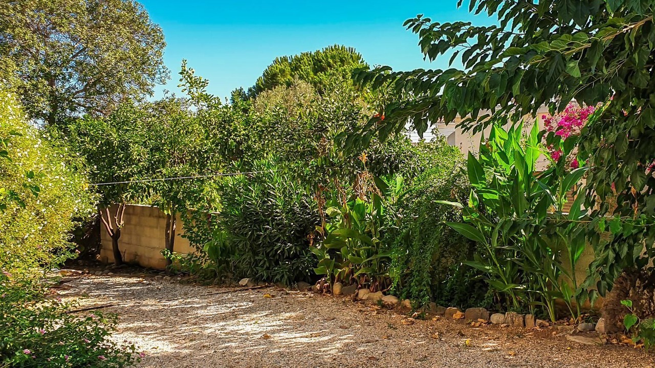 Photo of Outdoor in Latchi