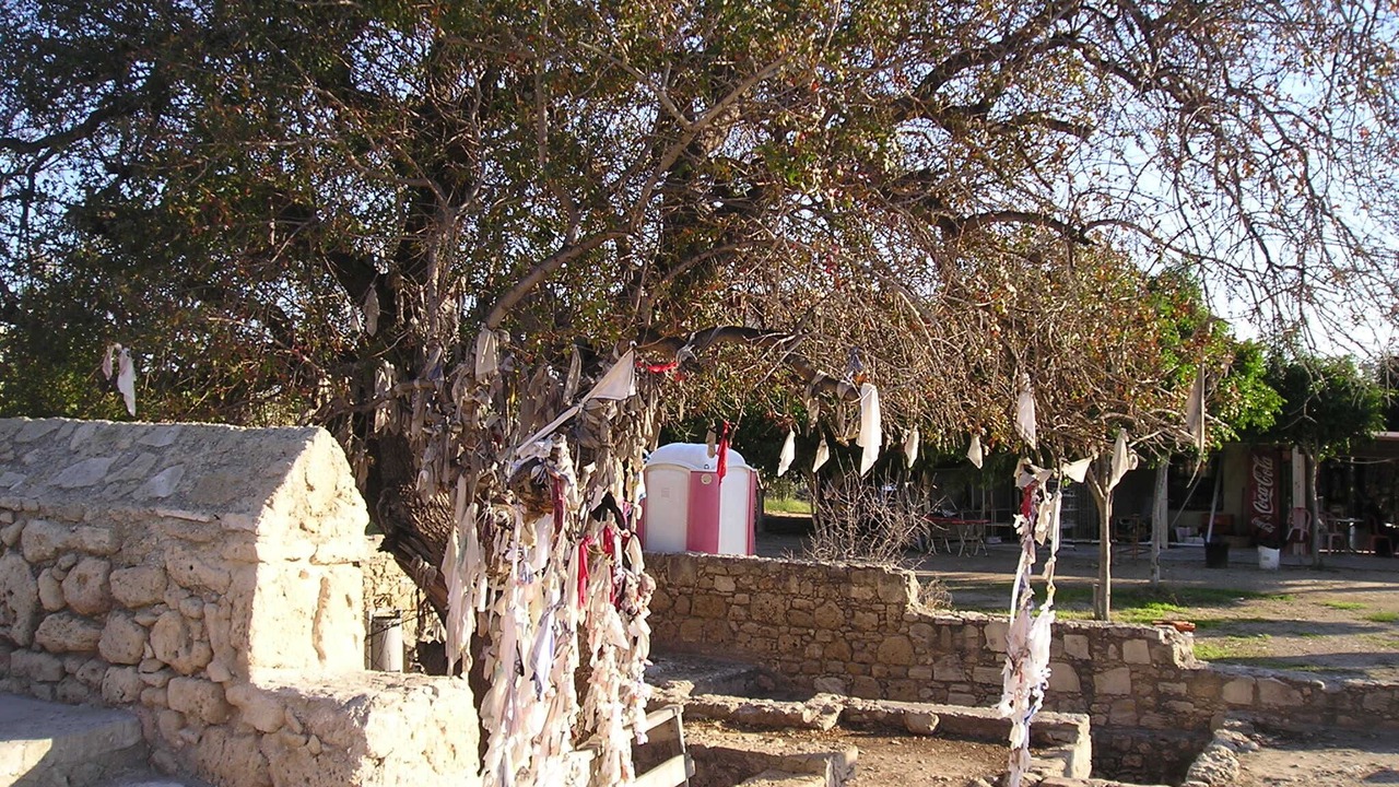 Photo of Outdoor in Paphos
