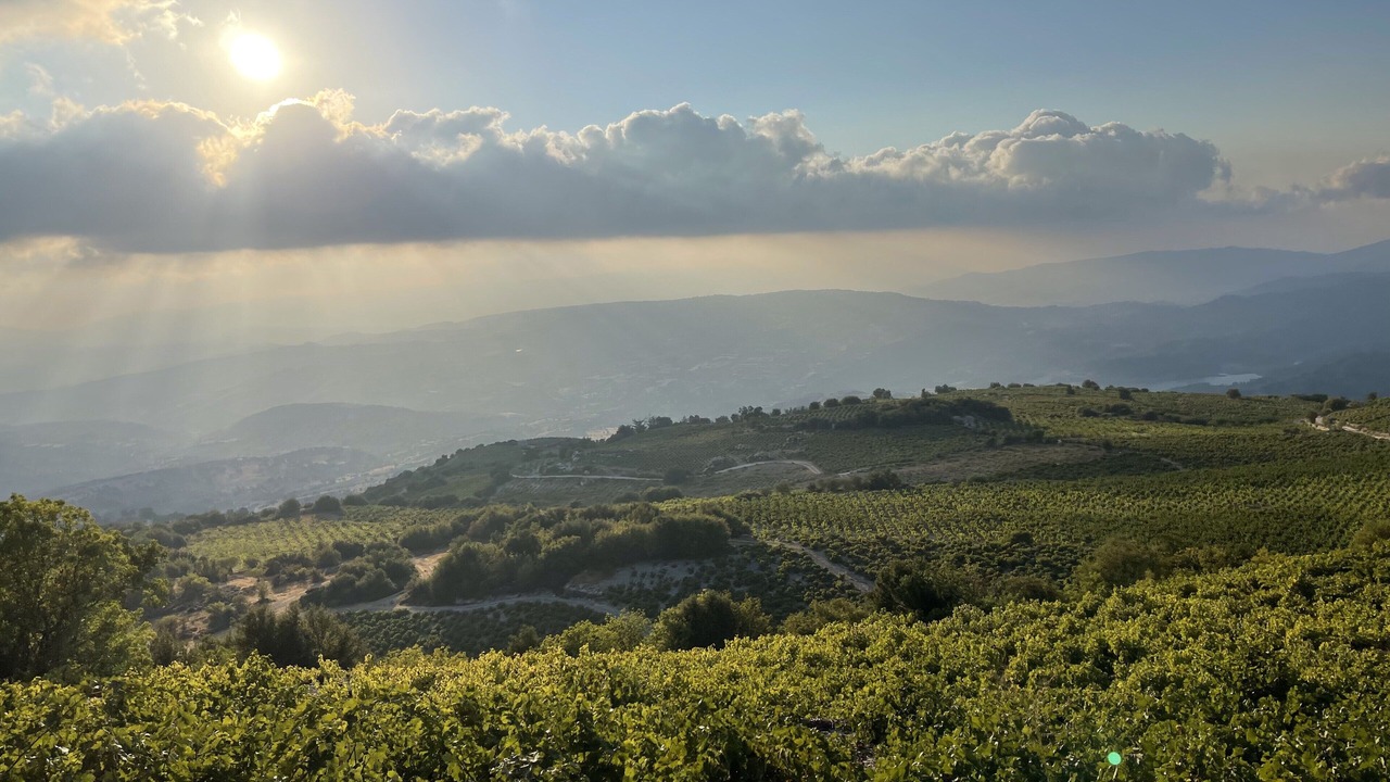 Photo of Others in Panagia
