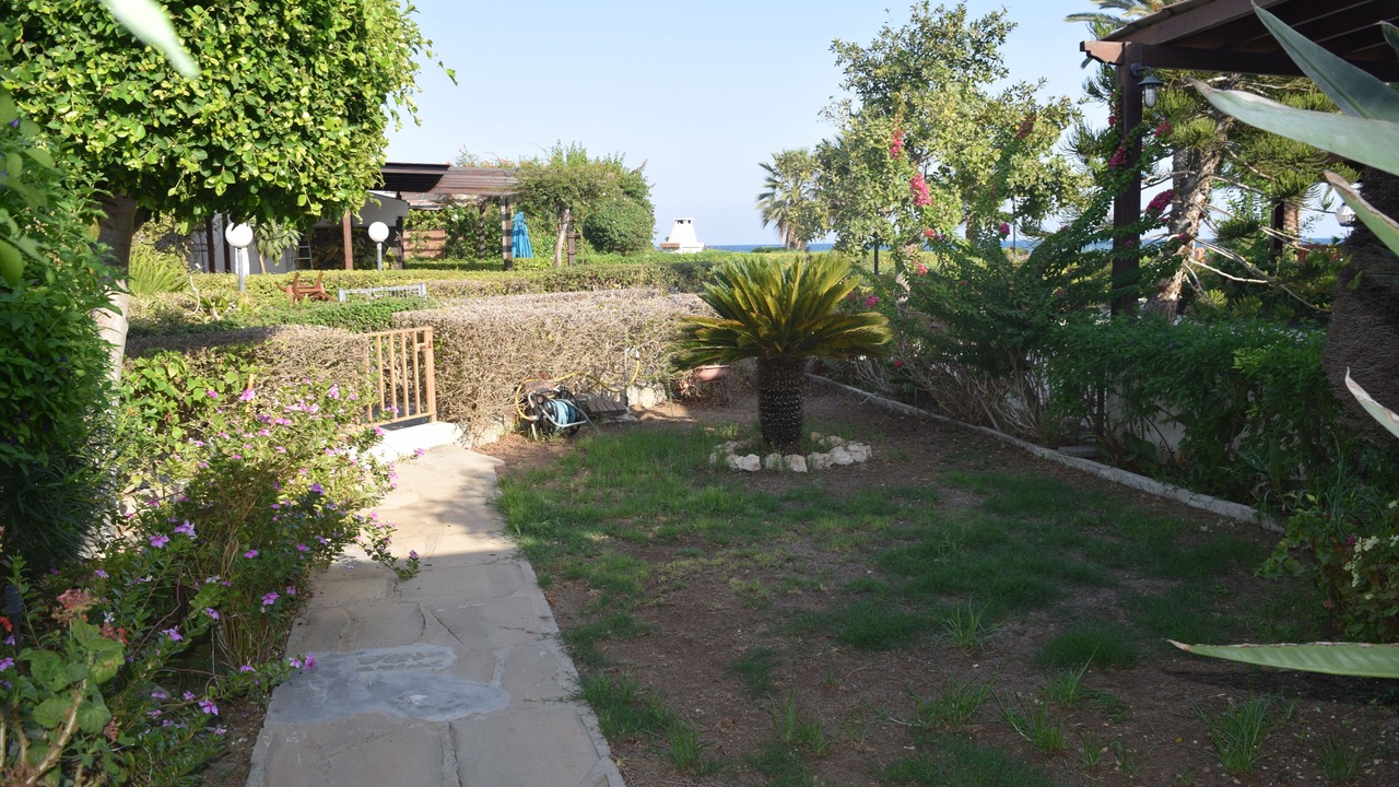 Photo of Outdoor in Larnaca