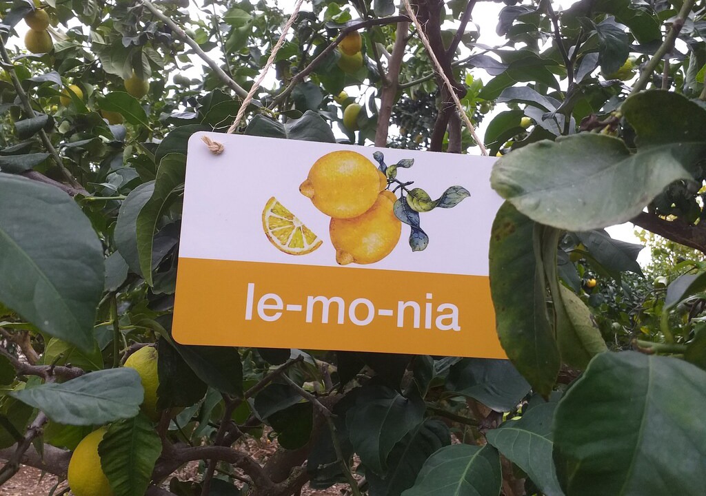 Photo of Others in Letymvou