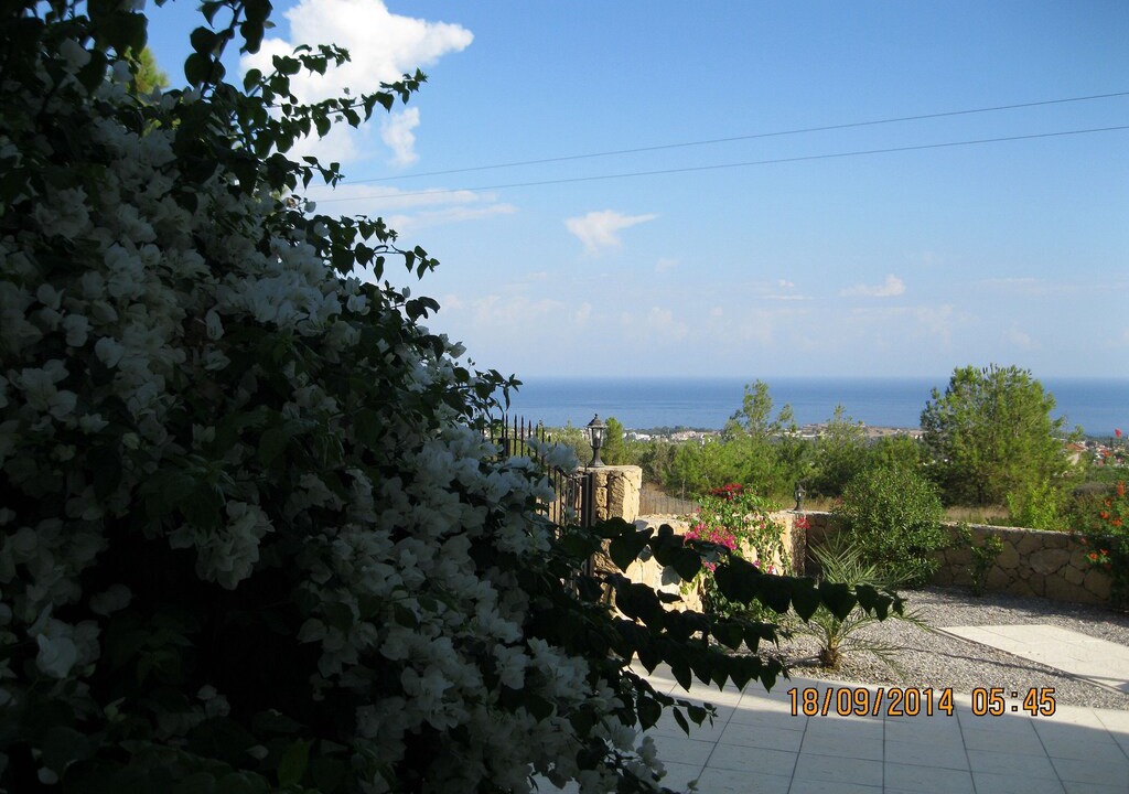 Photo of Others in Catalkoy