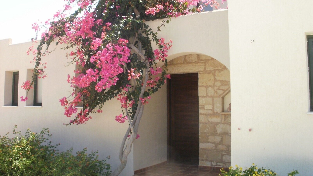 Photo of Outdoor in Kissonerga