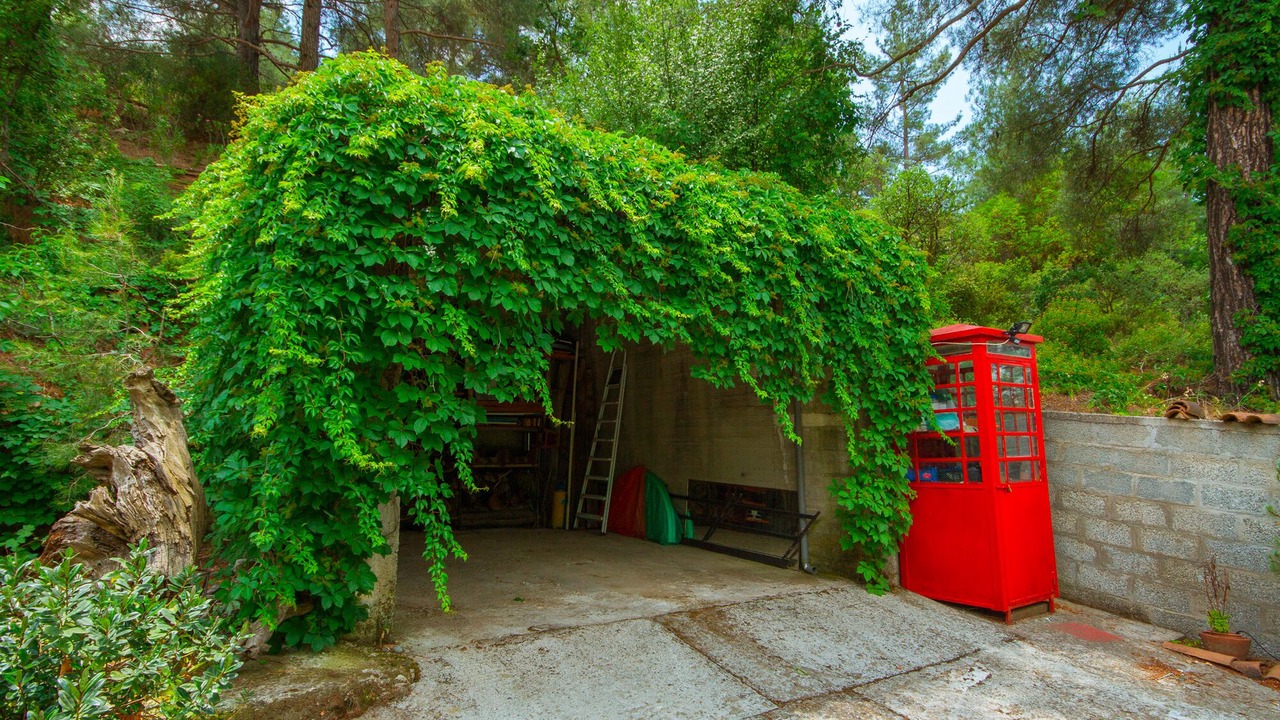 Photo of Outdoor in Episkopi