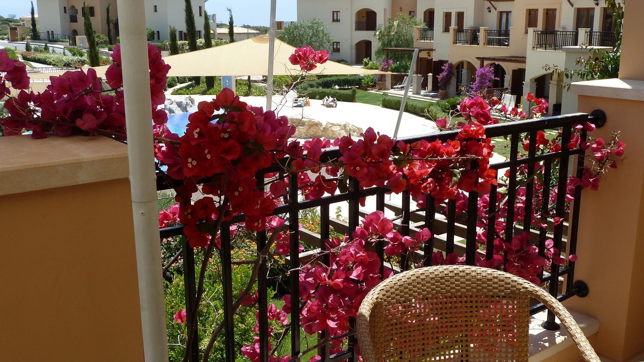 Photo of Others in Aphrodite Hills