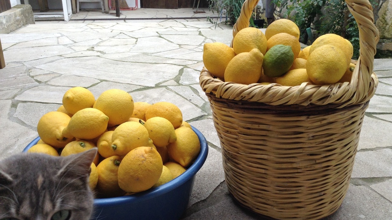 Photo of Outdoor in Pera