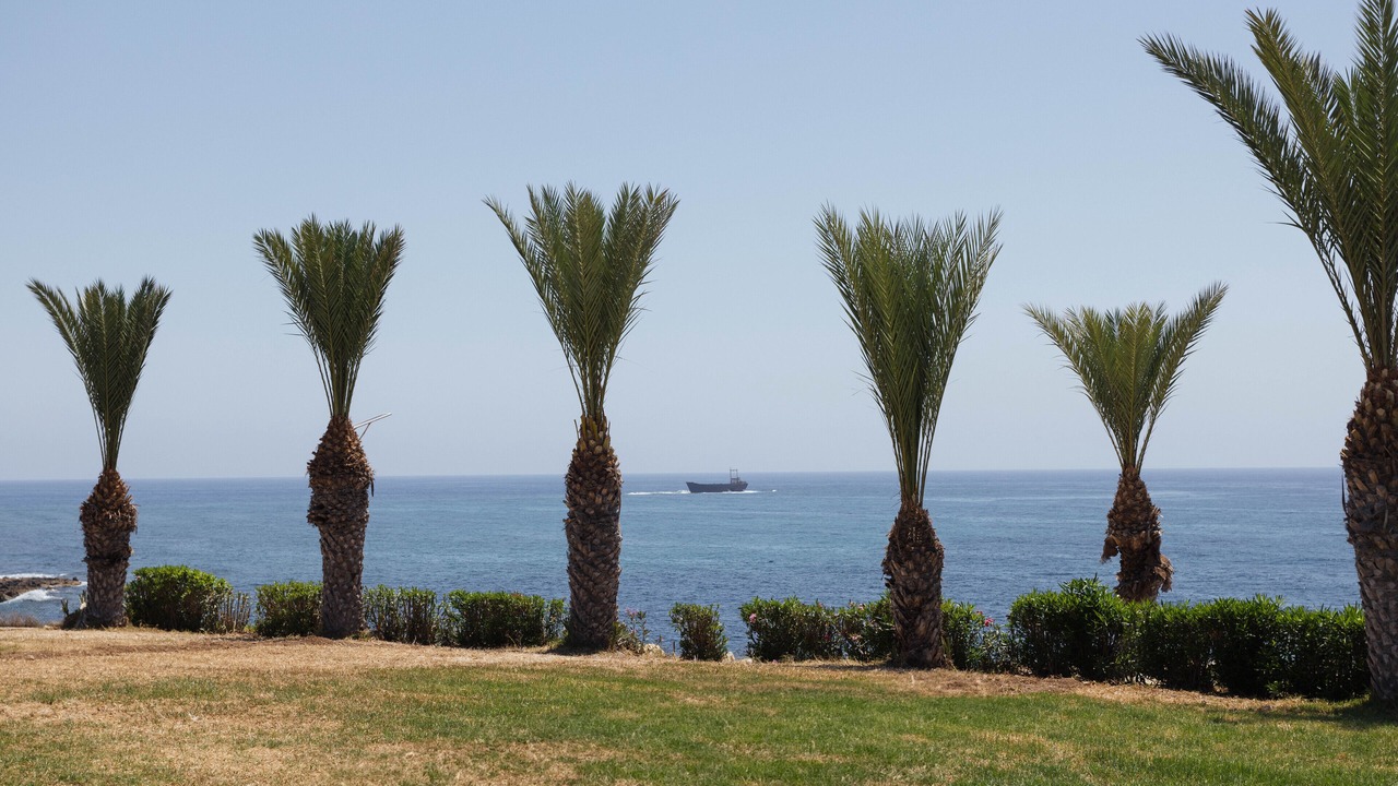 Photo of Outdoor in Chlorakas