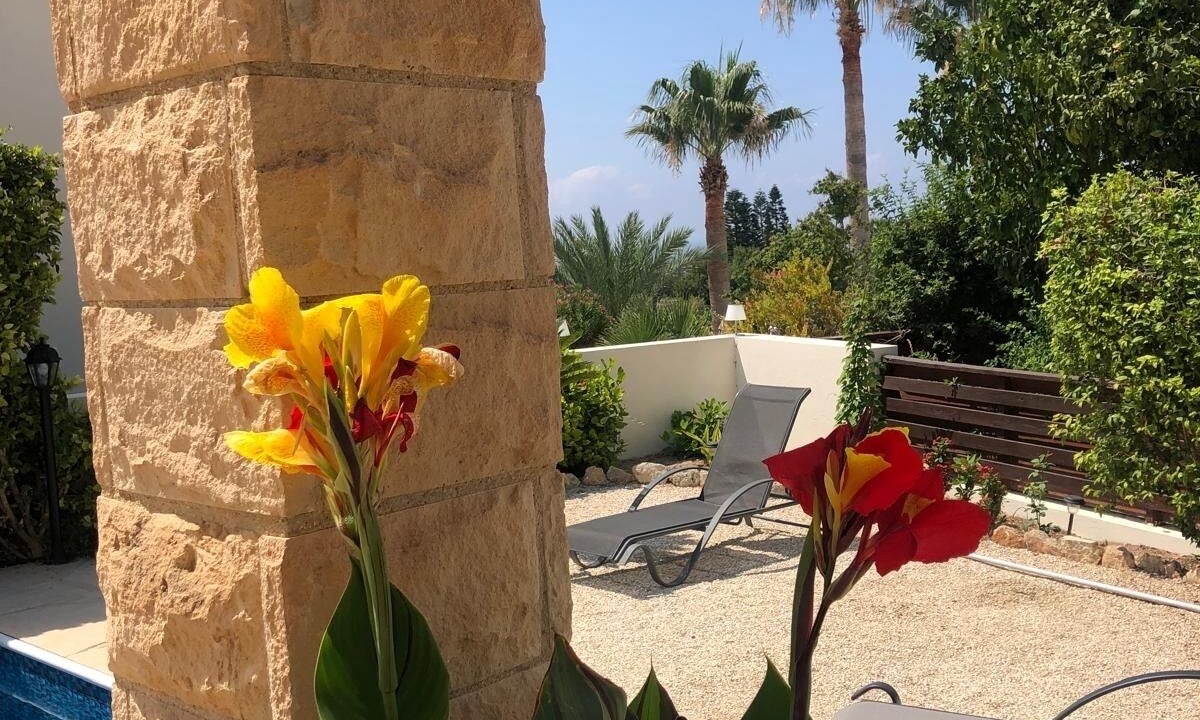 Photo of Outdoor in Peyia Town