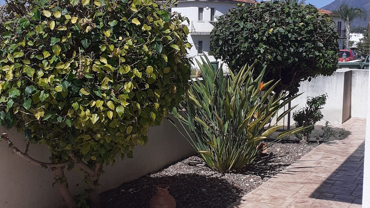 Photo of Outdoor in Alethriko