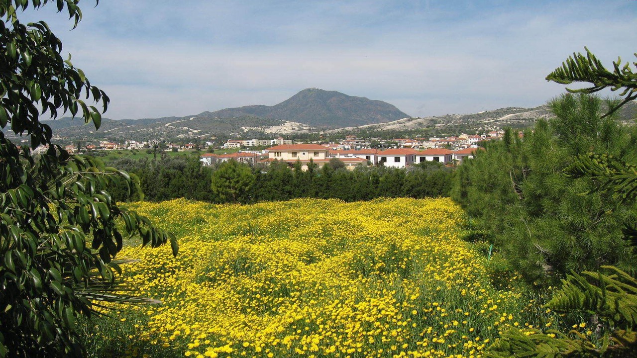 Photo of Others in Alethriko