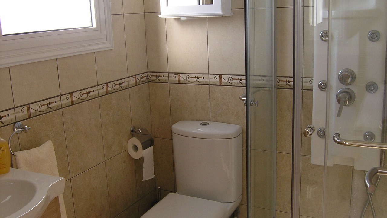 Photo of Bathroom in Alethriko