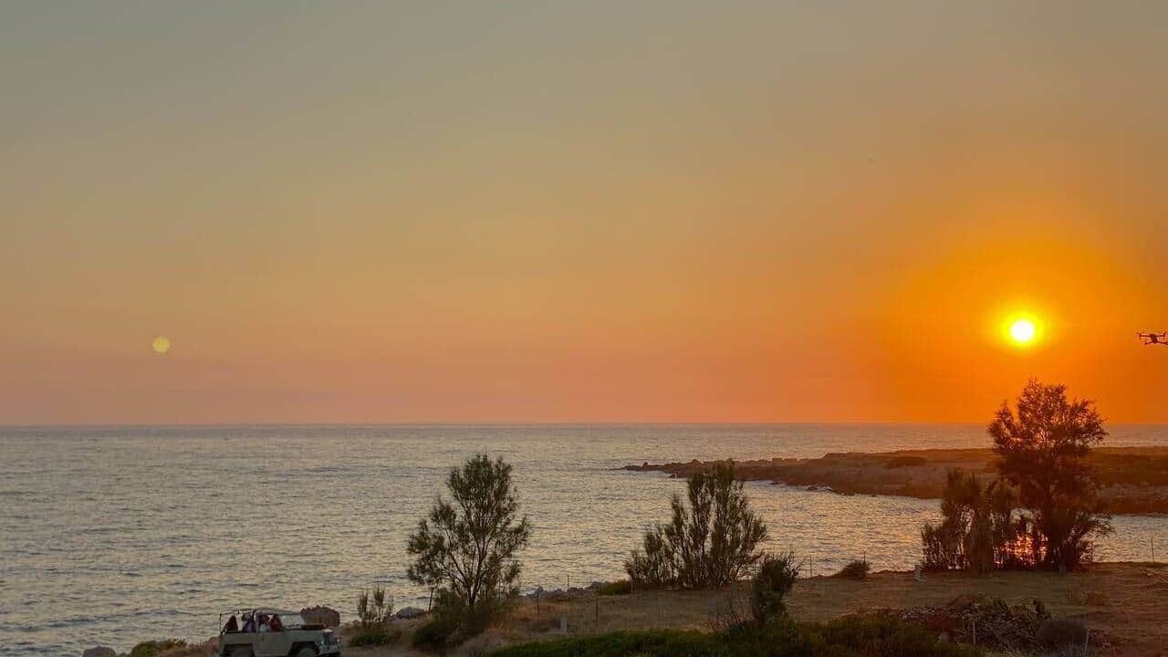 Photo of Others in Pegeia
