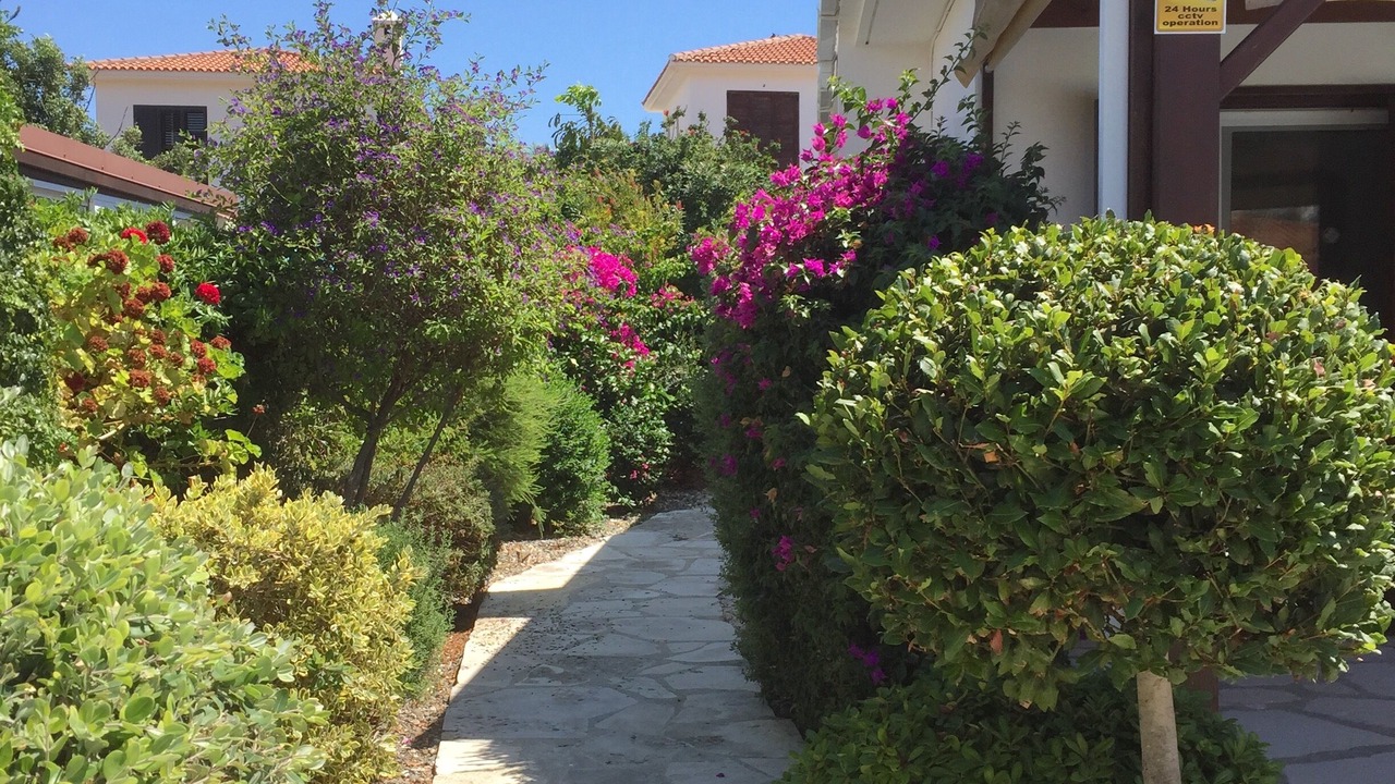 Photo of Outdoor in Pissouri