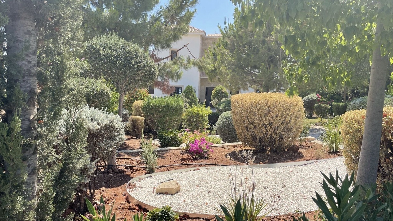 Photo of Outdoor in Aphrodite Hills
