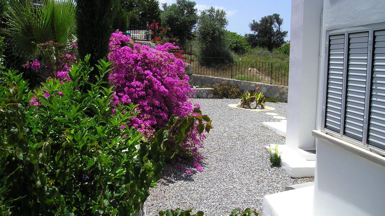 Photo of Outdoor in Esentepe