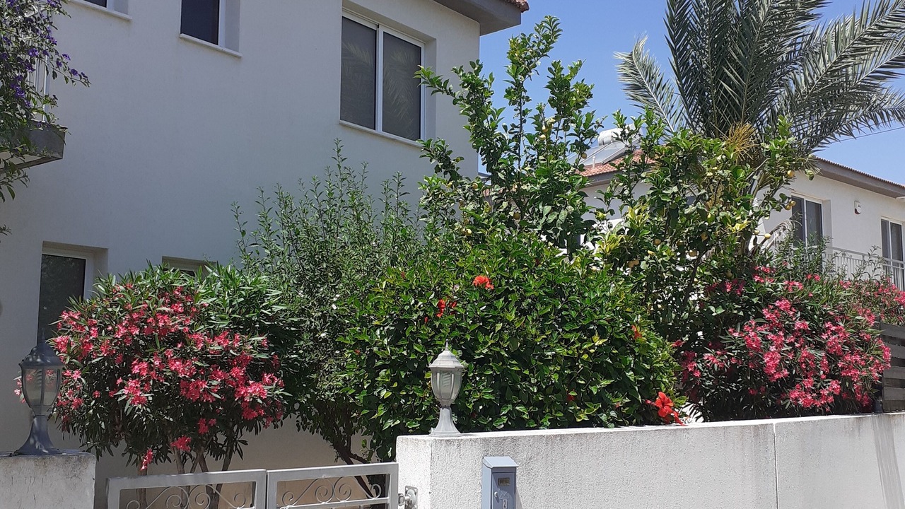 Photo of Outdoor in Alethriko