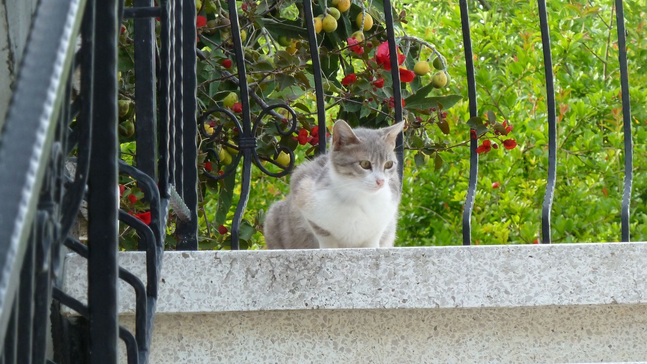 Photo of Outdoor in Ozankoy