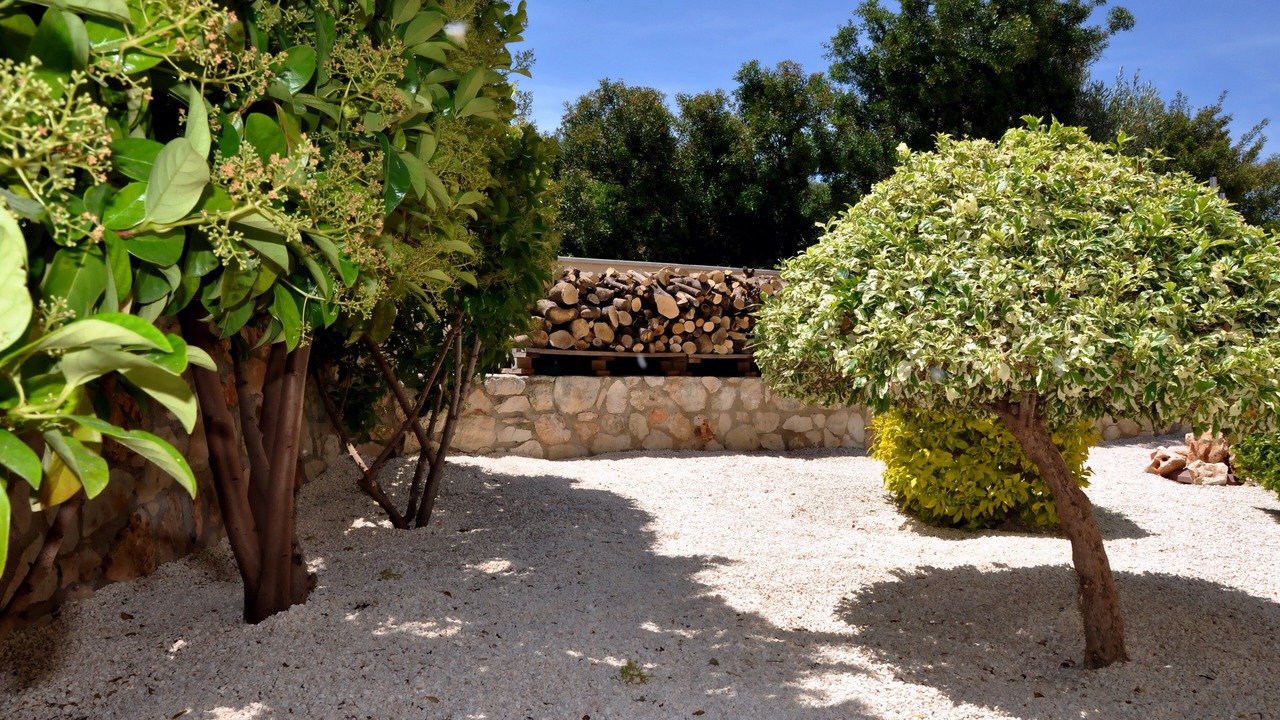 Photo of Outdoor in Latchi