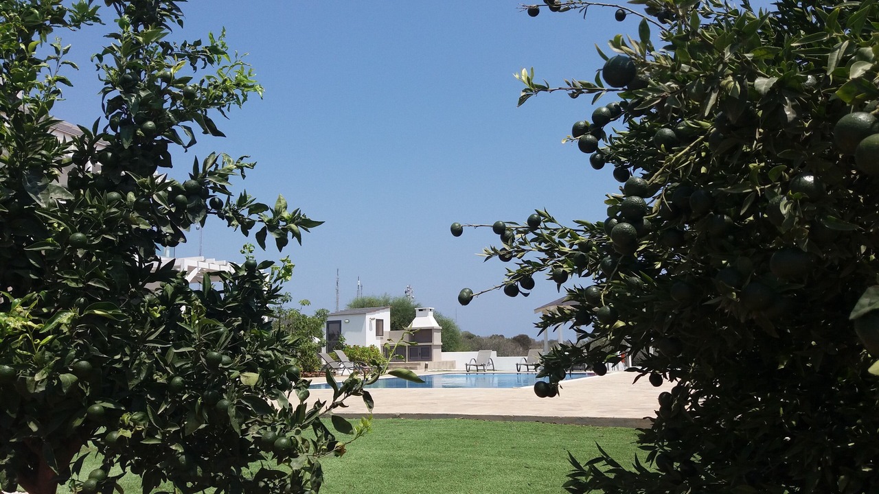 Photo of Outdoor in Protaras