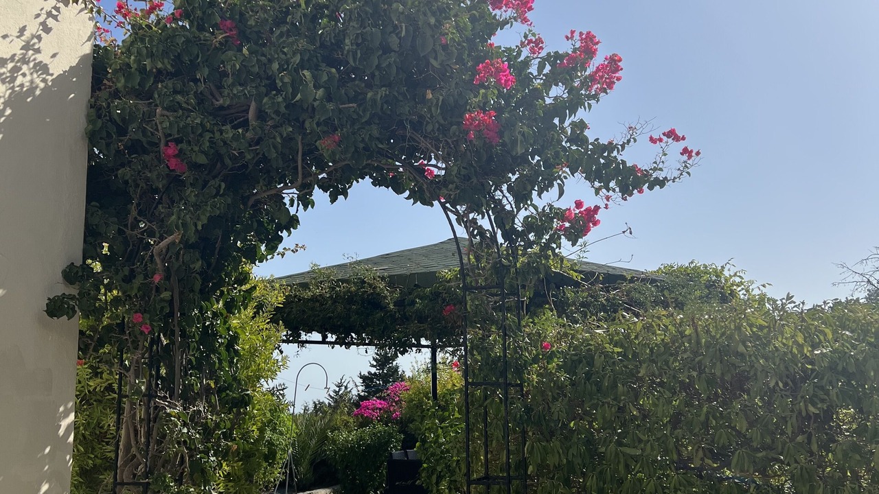 Photo of Outdoor in Kyrenia District