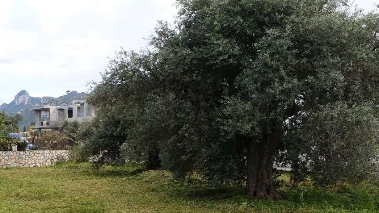 Photo of Outdoor in Ozankoy