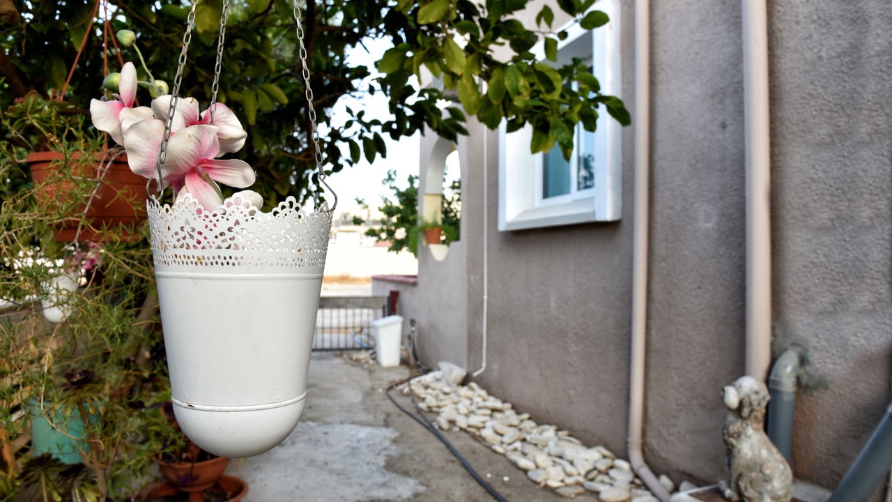 Photo of Outdoor in Paralimni