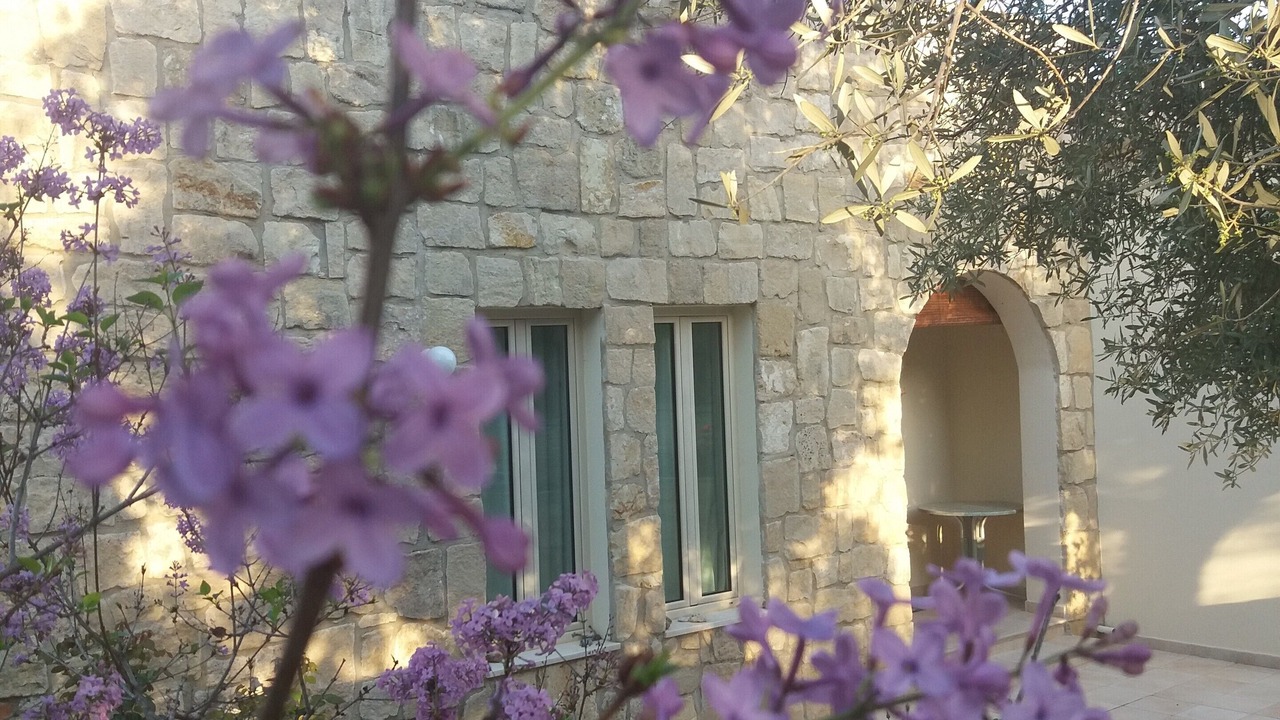 Photo of Outdoor in Pano Akourdalia