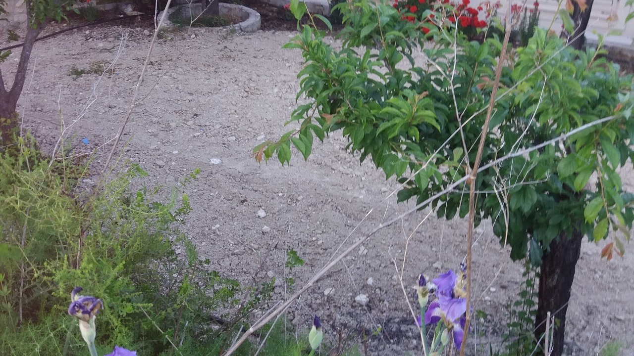 Photo of Outdoor in Pano Akourdalia