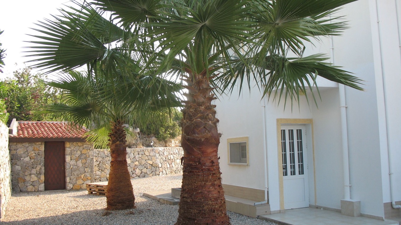Photo of Others in Esentepe