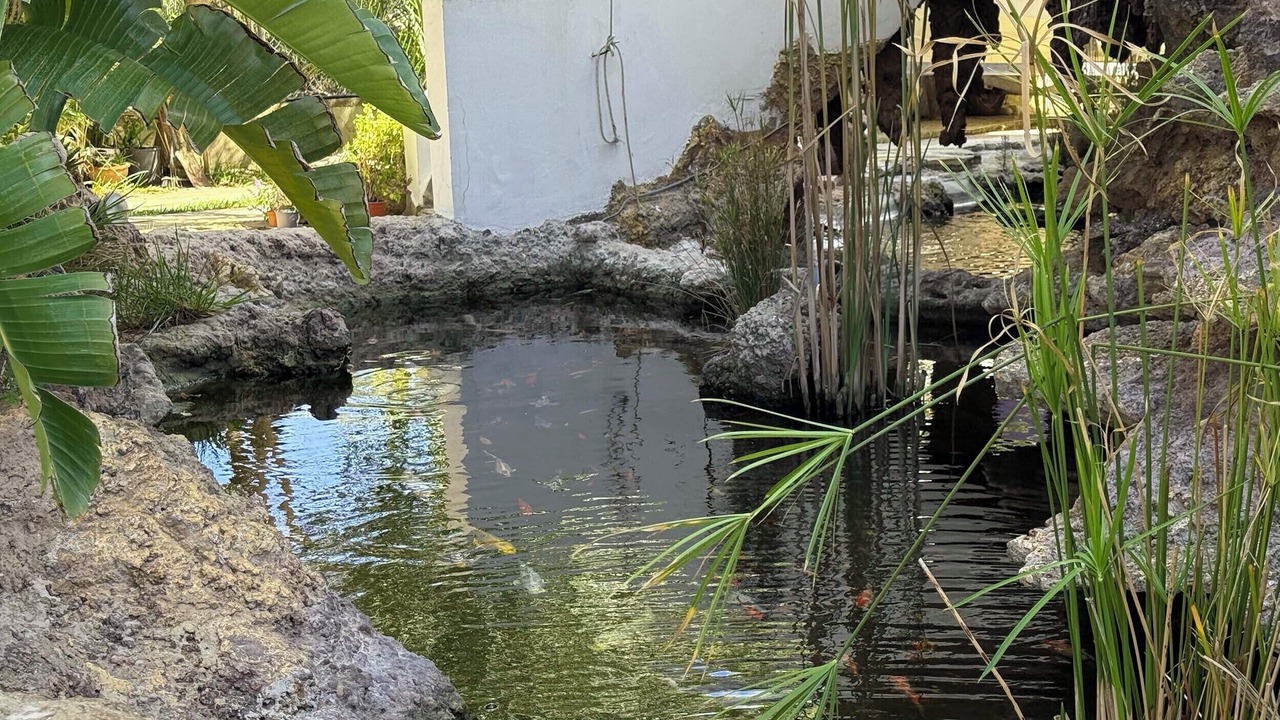 Photo of Outdoor in Agios Theodoros