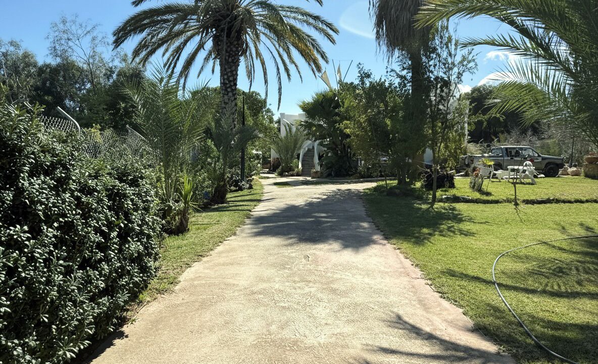 Photo of Outdoor in Agios Theodoros