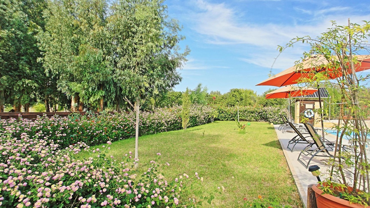 Photo of Outdoor in Goudi