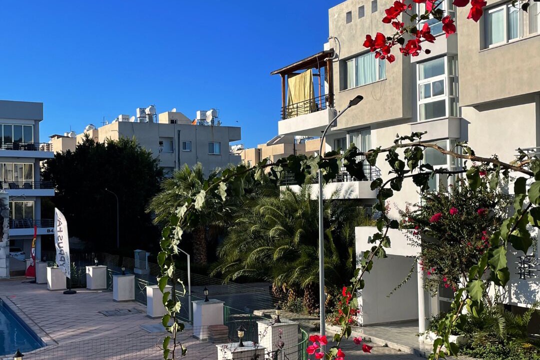 Photo of Outdoor in Zeytinlik