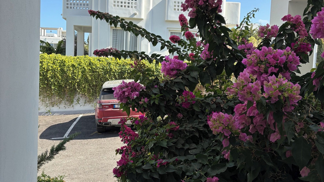 Photo of Outdoor in Karavas