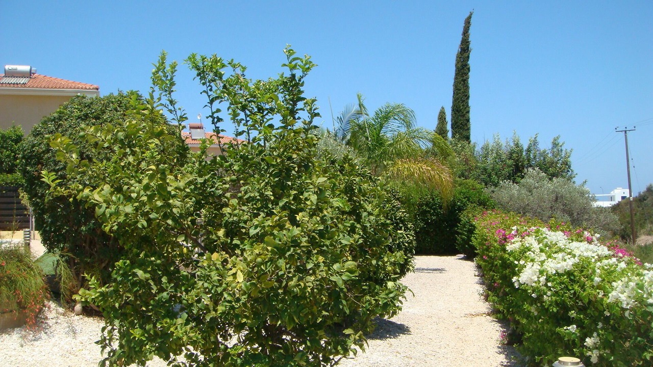 Photo of Outdoor in Latchi