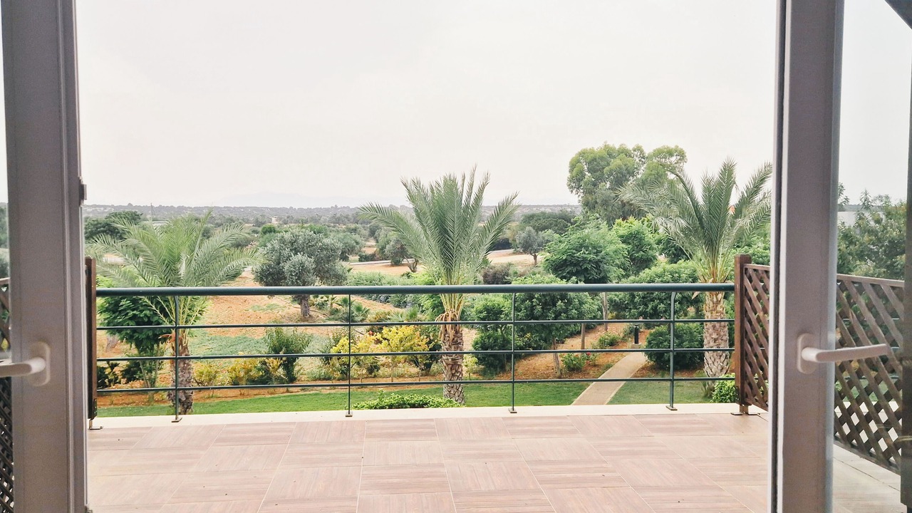 Photo of Others in Bafra