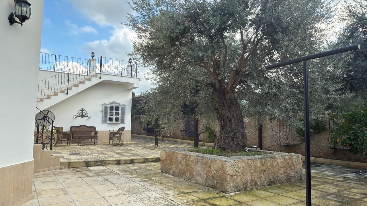 Photo of Outdoor in Zeytinlik