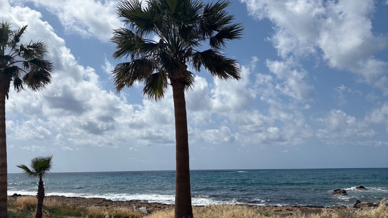 Photo of Others in Paphos