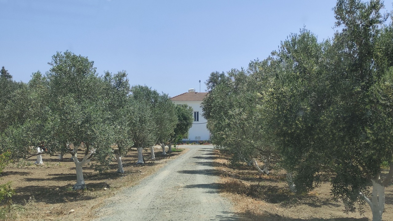 Photo of Outdoor in Softades