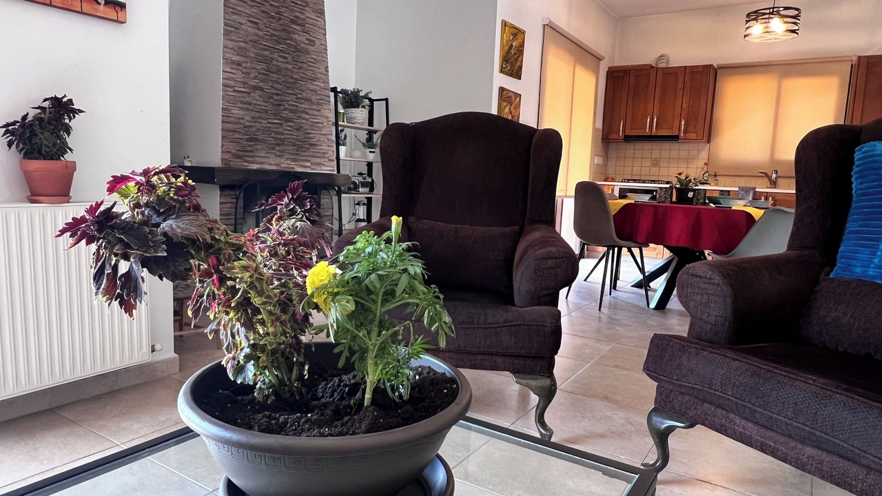 Photo of Livingroom in Kyperounta