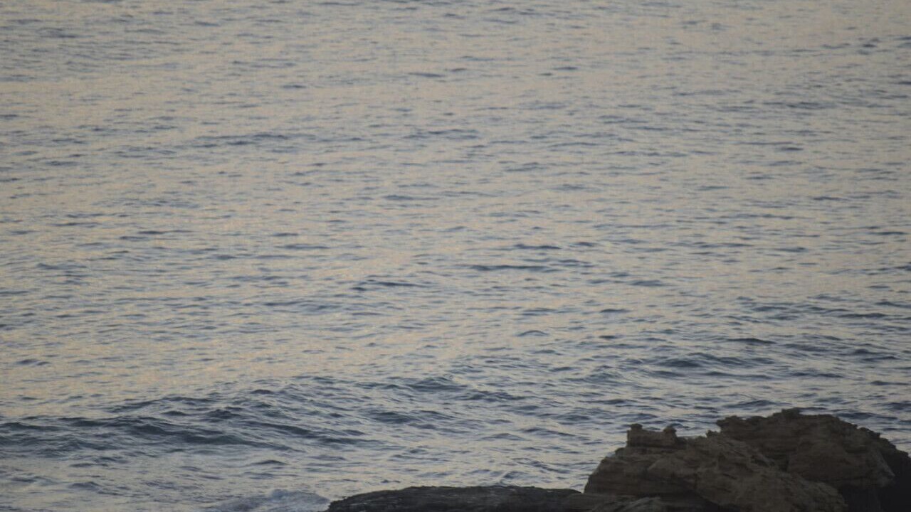 Photo of Others in Kissonerga