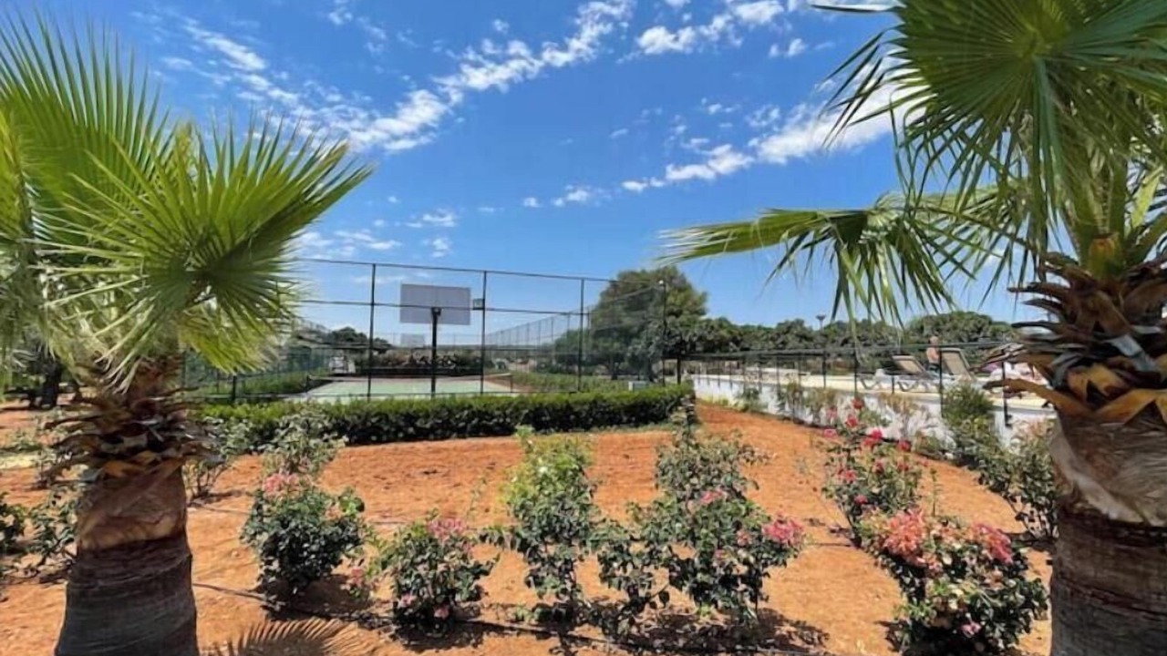 Photo of Outdoor in Bafra